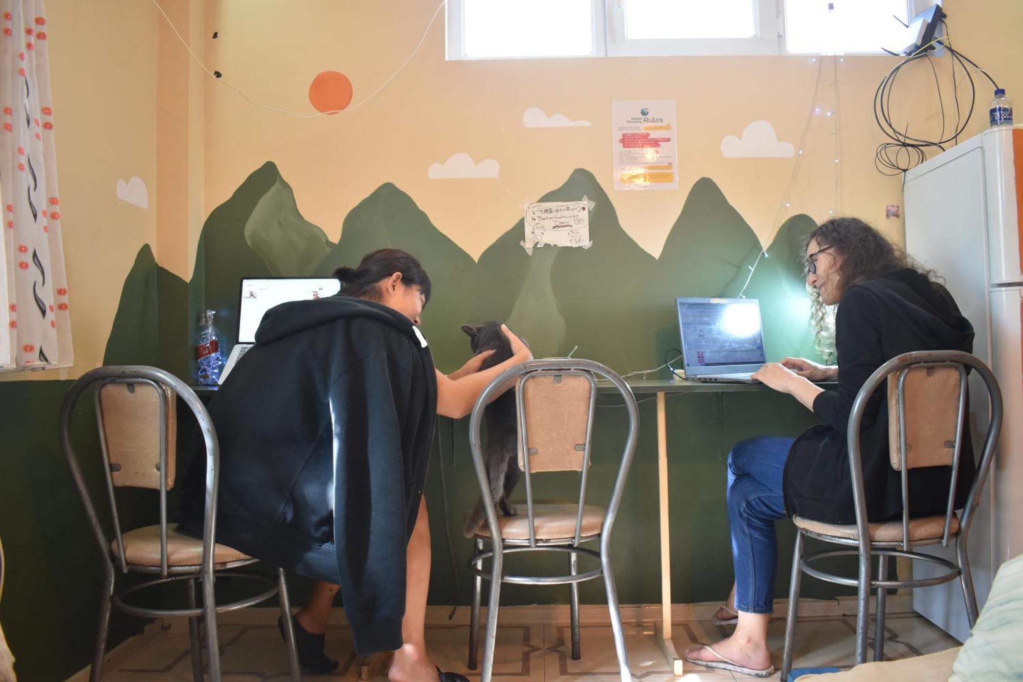 Harmony Backpackers Hostel バトゥーミ エクステリア 写真